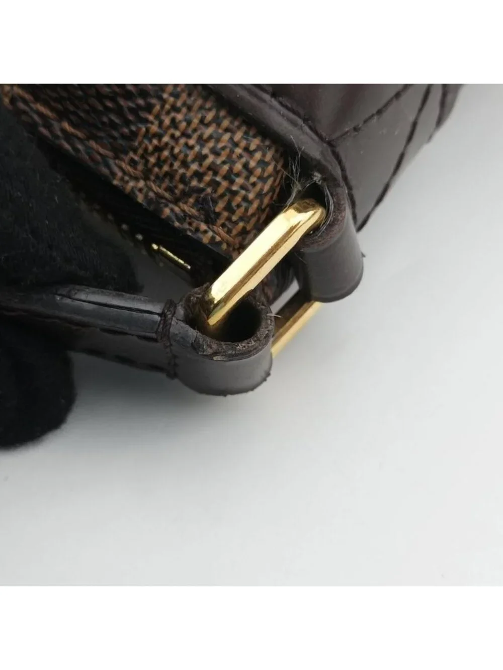 Louis Vuitton brand louis